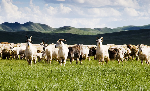 持續研發，自主專利